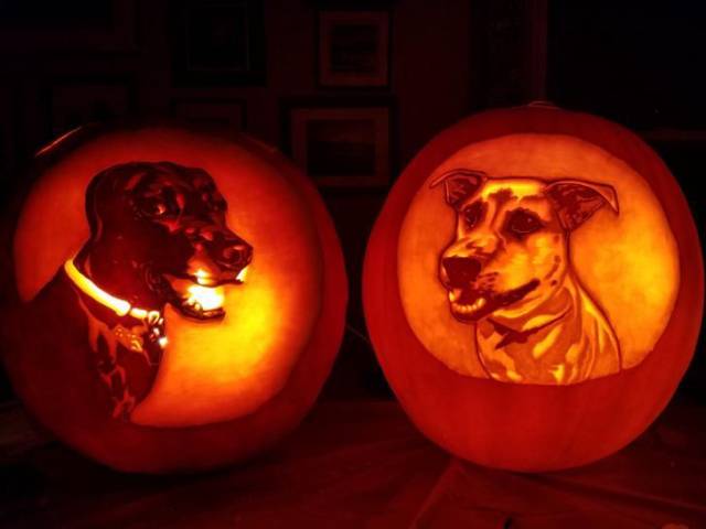 daily picdump 98 pics 45.html - 98 HD Photos | Premium Gallery 2017