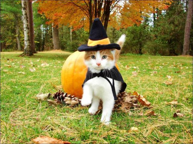 daily picdump 98 pics 45.html - 98 HD Photos | Premium Gallery 2017