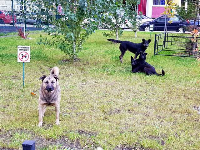 daily picdump 98 pics 45.html - 98 HD Photos | Premium Gallery 2017