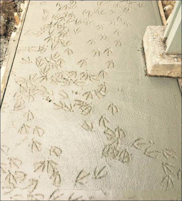 daily picdump 98 pics 45.html - 98 HD Photos | Premium Gallery 2017