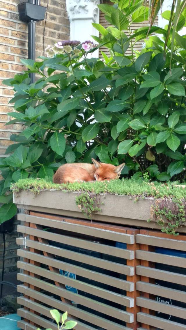 daily picdump 98 pics 45.html - 98 HD Photos | Premium Gallery 2017