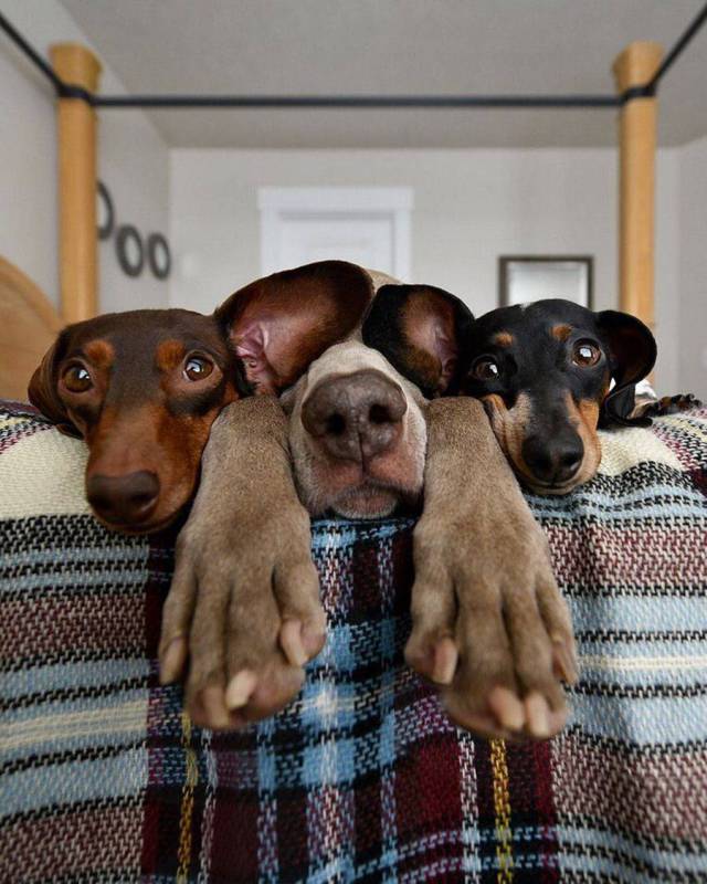 daily picdump 98 pics 45.html - 98 HD Photos | Premium Gallery 2017