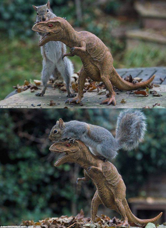 daily picdump 98 pics 45.html - 98 HD Photos | Premium Gallery 2017