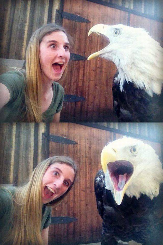 daily picdump 98 pics 45.html - 98 HD Photos | Premium Gallery 2017