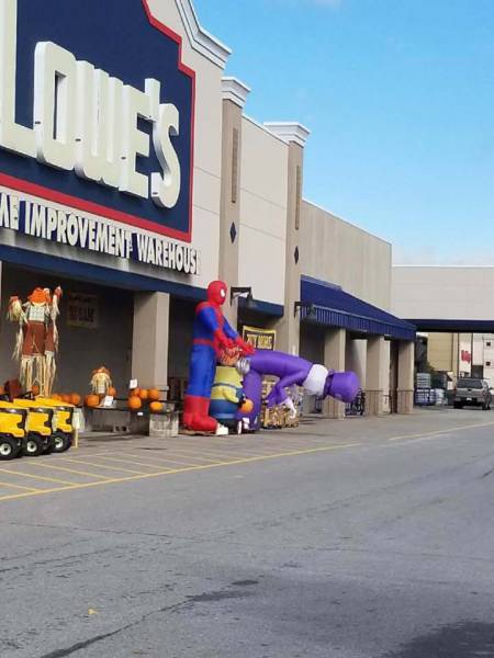 morning picdump 50 pics 16.html - 50 HD Photos | Premium Gallery 2017