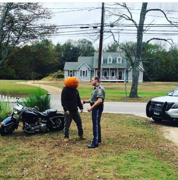 morning picdump 50 pics 16.html - 50 HD Photos | Premium Gallery 2017