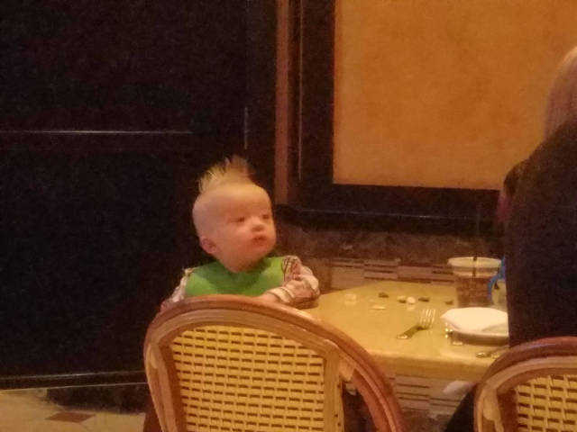 morning picdump 50 pics 16.html - 50 HD Photos | Premium Gallery 2017