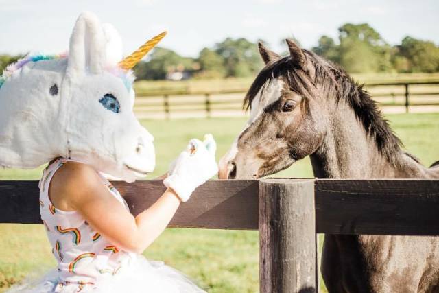 Daily Picdump [WEEKEND EDITION]