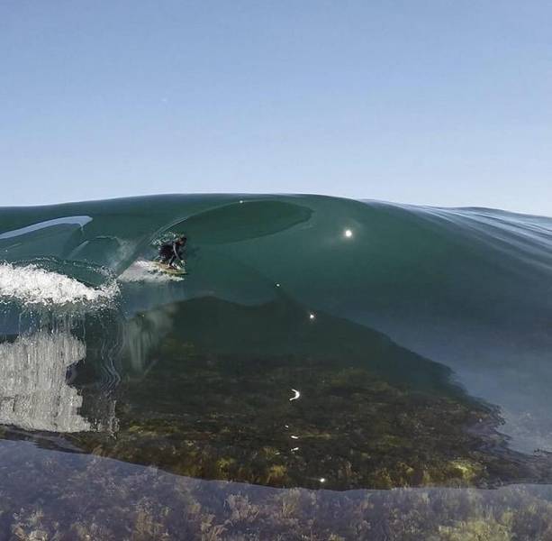 daily picdump weekend edition 73 pics 27.html - 73 HD Photos | Premium Gallery 2017