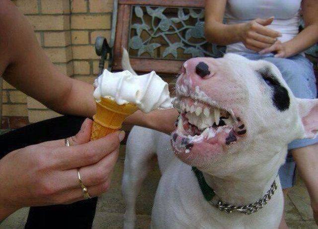 daily picdump weekend edition 73 pics 27.html - 73 HD Photos | Premium Gallery 2017