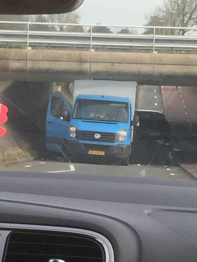 daily picdump weekend edition 73 pics 27.html - 73 HD Photos | Premium Gallery 2017