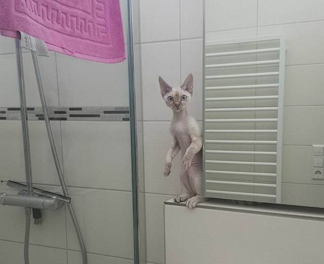 daily picdump 101 pics 36.html - 101 HD Photos | Premium Gallery 2017