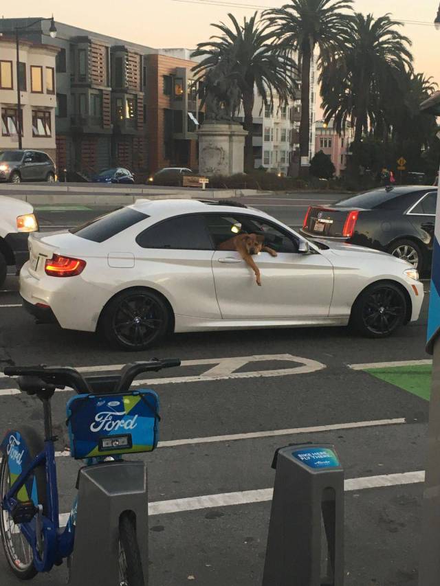 daily picdump 101 pics 36.html - 101 HD Photos | Premium Gallery 2017