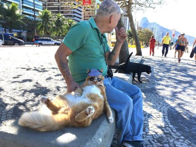 daily picdump 99 pics 45.html - 99 HD Photos | Premium Gallery 2017