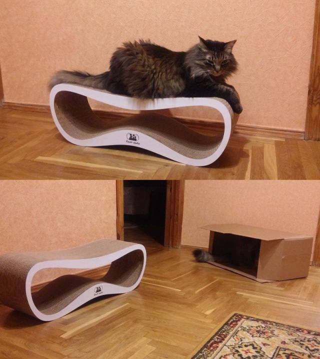 daily picdump 99 pics 45.html - 99 HD Photos | Premium Gallery 2017