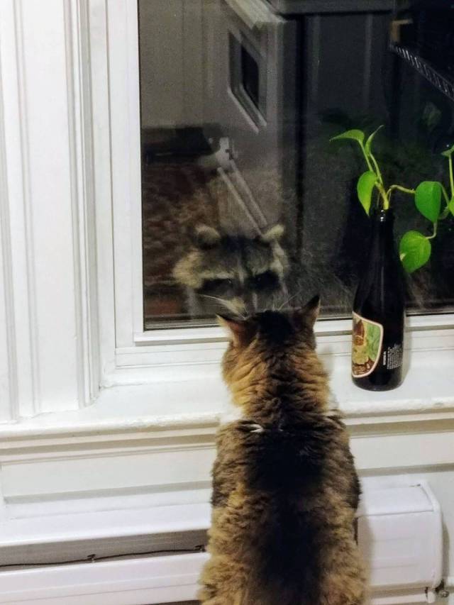 daily picdump 99 pics 45.html - 99 HD Photos | Premium Gallery 2017