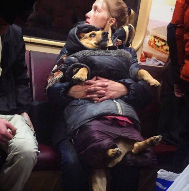 daily picdump 99 pics 45.html - 99 HD Photos | Premium Gallery 2017