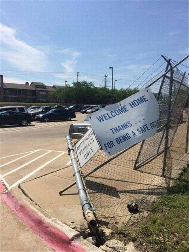 daily picdump 99 pics 45.html - 99 HD Photos | Premium Gallery 2017