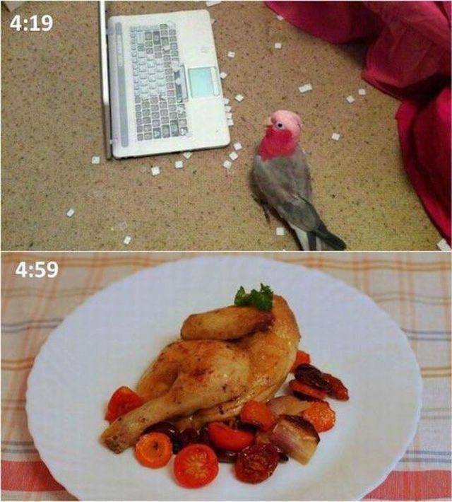 daily picdump 99 pics 45.html - 99 HD Photos | Premium Gallery 2017