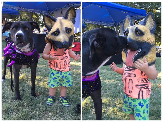 morning picdump 51 pics 21.html - 51 HD Photos | Premium Gallery 2017