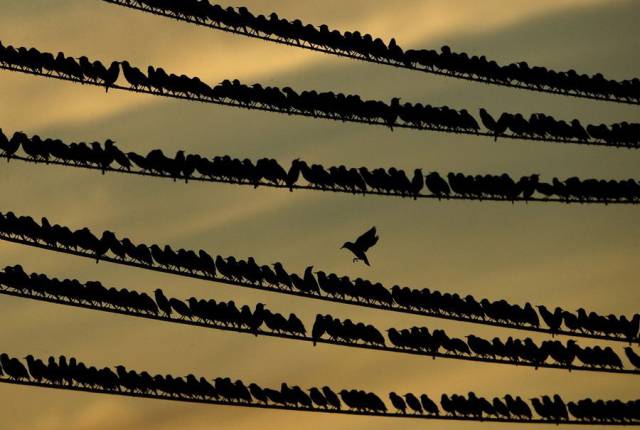 daily picdump 96 pics 14.html - 96 HD Photos | Premium Gallery 2017