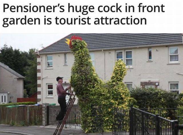 daily picdump 96 pics 14.html - 96 HD Photos | Premium Gallery 2017