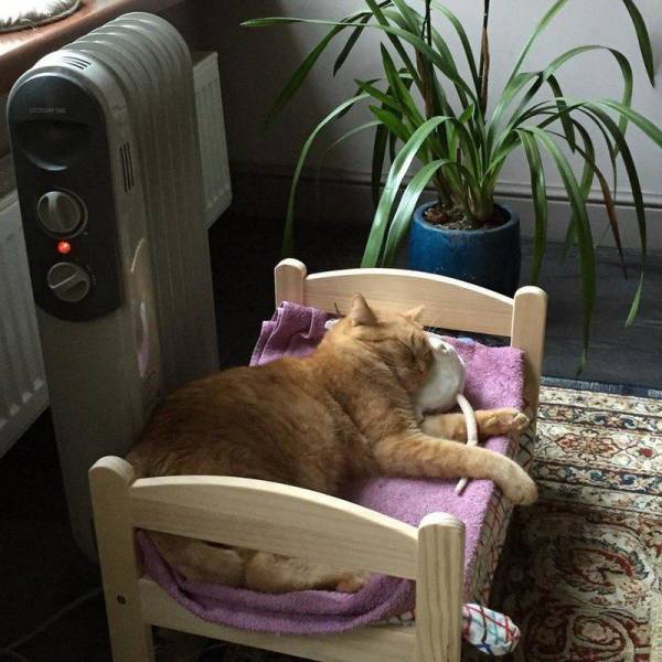 daily picdump 96 pics 14.html - 96 HD Photos | Premium Gallery 2017