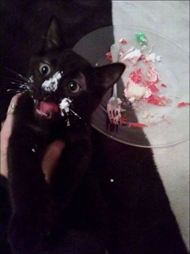 daily picdump 96 pics 14.html - 96 HD Photos | Premium Gallery 2017