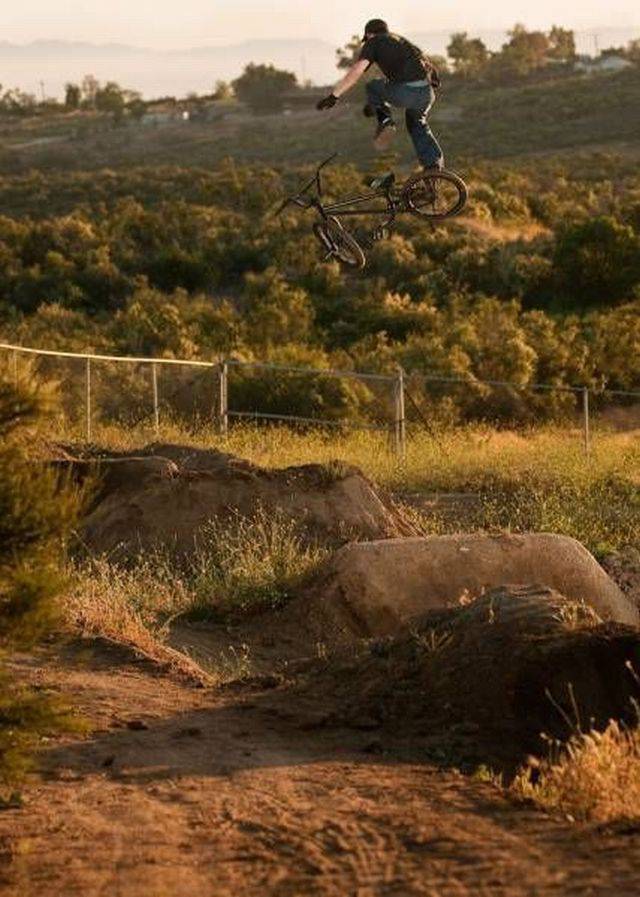 daily picdump 96 pics 14.html - 96 HD Photos | Premium Gallery 2017