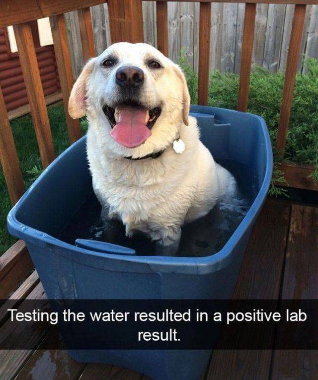 daily picdump 96 pics 14.html - 96 HD Photos | Premium Gallery 2017