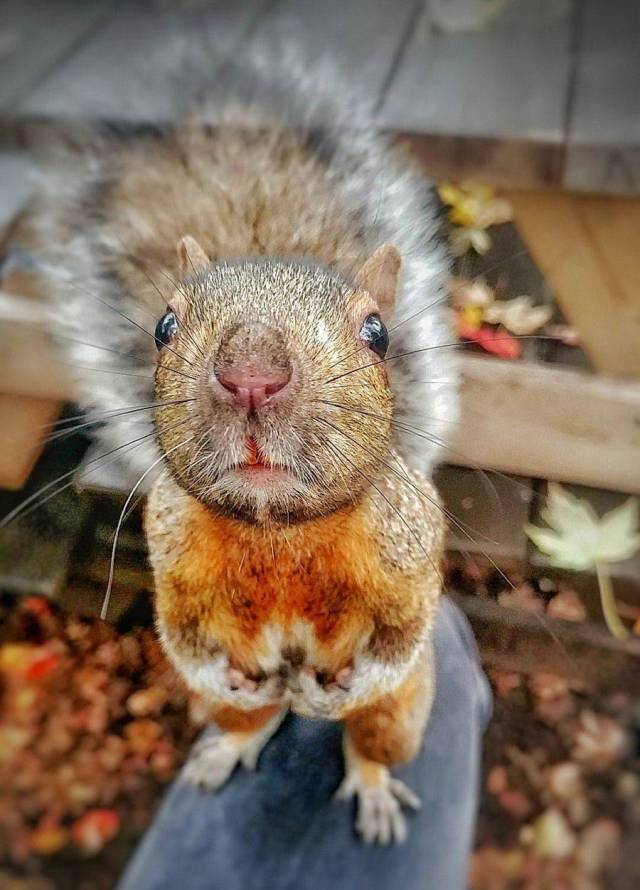 daily picdump 96 pics 14.html - 96 HD Photos | Premium Gallery 2017