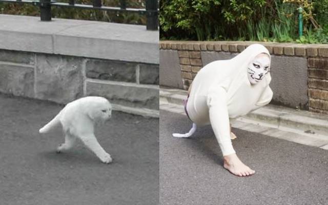 morning picdump 54 pics 11.html - 54 HD Photos | Premium Gallery 2017