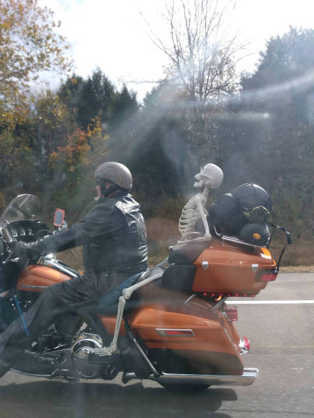 morning picdump 54 pics 11.html - 54 HD Photos | Premium Gallery 2017