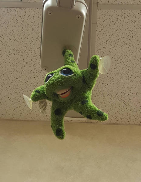 morning picdump 54 pics 11.html - 54 HD Photos | Premium Gallery 2017