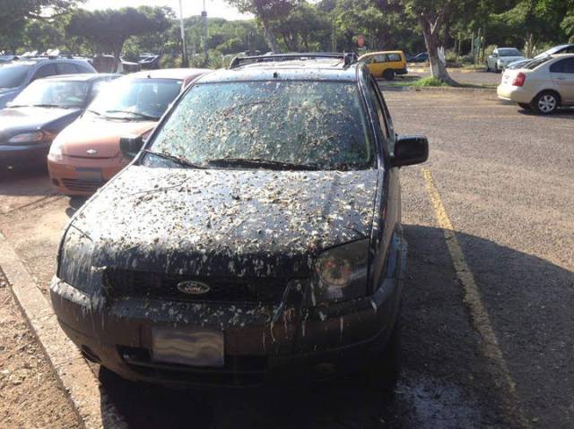 daily picdump 97 pics 9.html - 97 HD Photos | Premium Gallery 2017