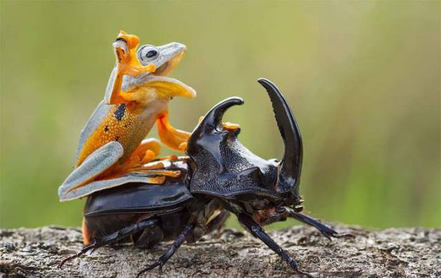 daily picdump 97 pics 9.html - 97 HD Photos | Premium Gallery 2017