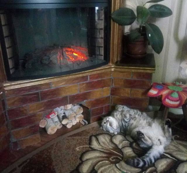 daily picdump 97 pics 9.html - 97 HD Photos | Premium Gallery 2017