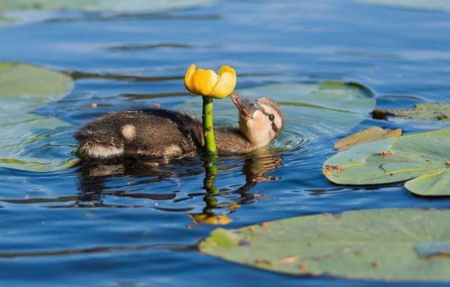 daily picdump 97 pics 9.html - 97 HD Photos | Premium Gallery 2017