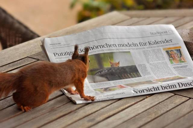 daily picdump 97 pics 9.html - 97 HD Photos | Premium Gallery 2017