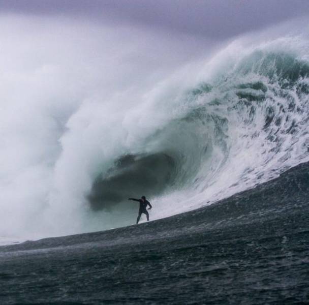 daily picdump 97 pics 9.html - 97 HD Photos | Premium Gallery 2017