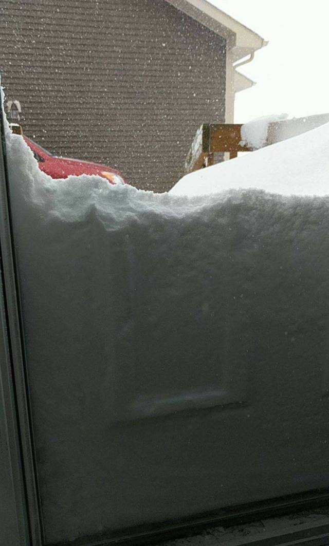 daily picdump 97 pics 9.html - 97 HD Photos | Premium Gallery 2017