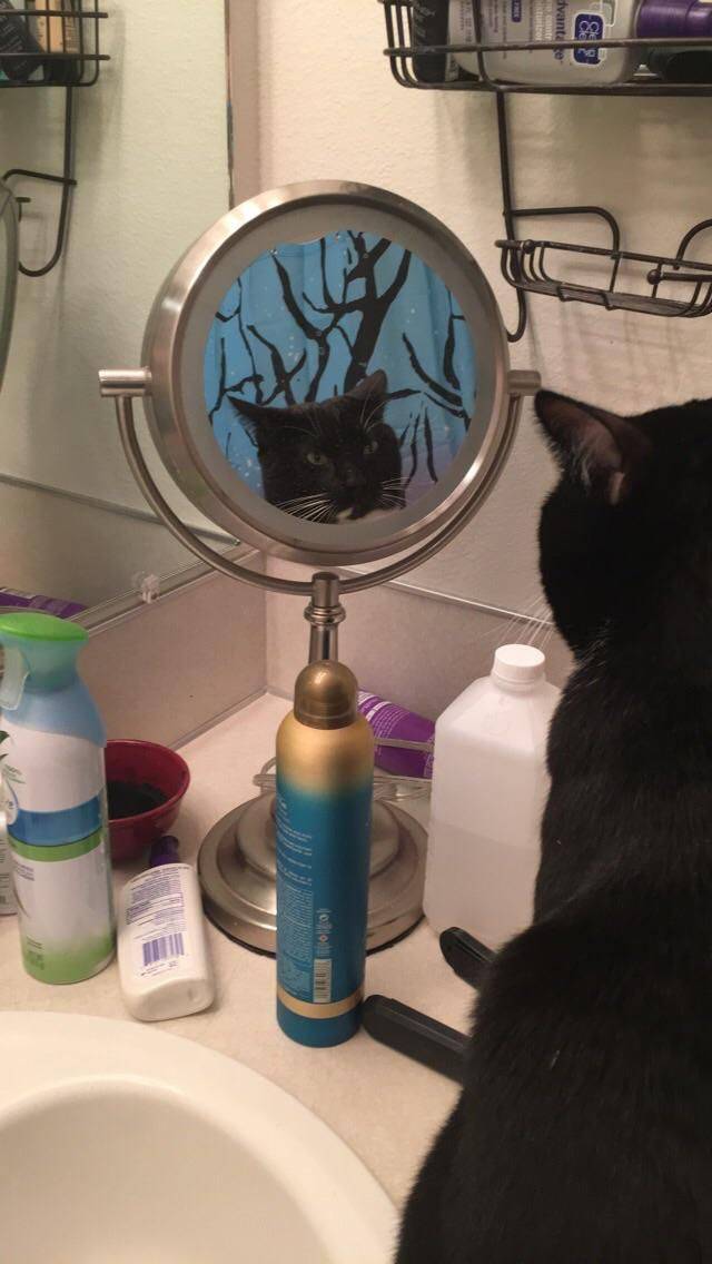 daily picdump 97 pics 9.html - 97 HD Photos | Premium Gallery 2017