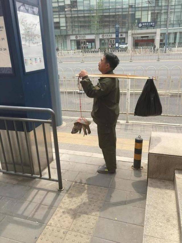 daily picdump 97 pics 9.html - 97 HD Photos | Premium Gallery 2017