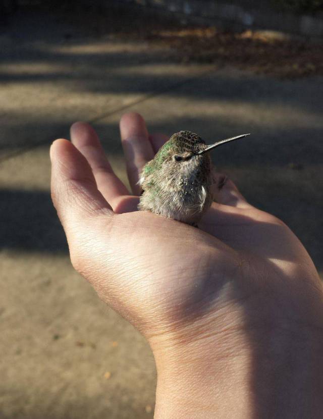 daily picdump 97 pics 9.html - 97 HD Photos | Premium Gallery 2017