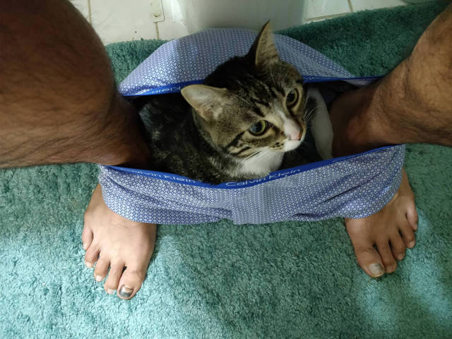 morning picdump 57 pics 13.html - 57 HD Photos | Premium Gallery 2017