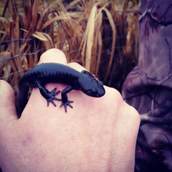 morning picdump 57 pics 13.html - 57 HD Photos | Premium Gallery 2017