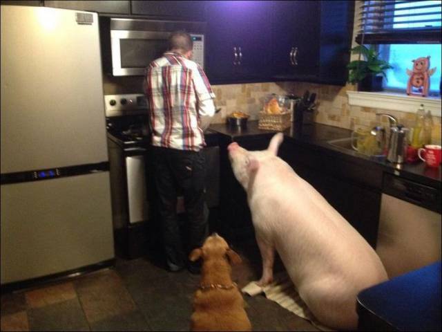 daily picdump 90 pics 40.html - 90 HD Photos | Premium Gallery 2017