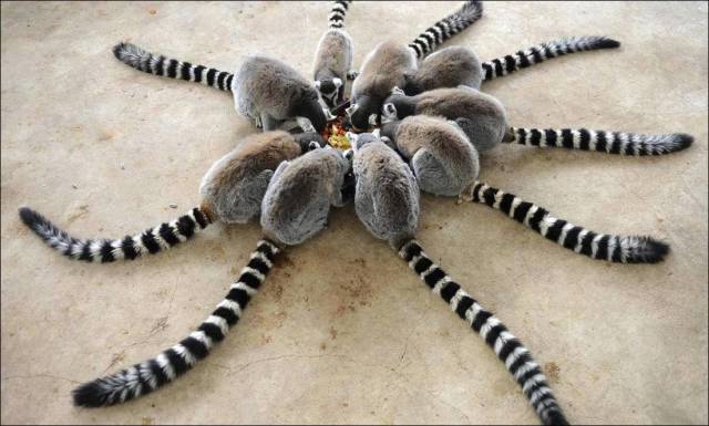 daily picdump 90 pics 40.html - 90 HD Photos | Premium Gallery 2017