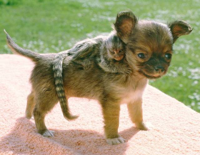 daily picdump 90 pics 40.html - 90 HD Photos | Premium Gallery 2017