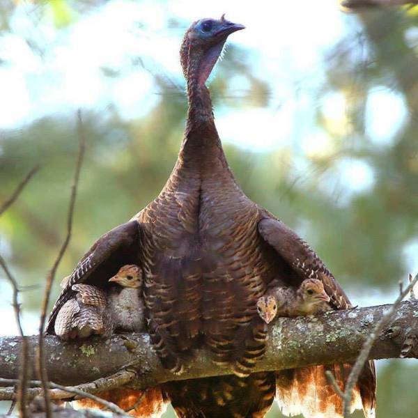 daily picdump 90 pics 40.html - 90 HD Photos | Premium Gallery 2017